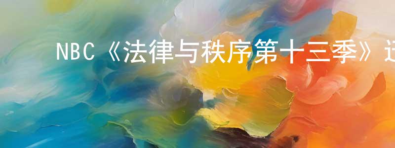 曹洪武的动漫综艺大全,NBC《法律与秩序第十三季》迅雷下载/在线观看/百度云-犯罪/历史载-美剧天堂